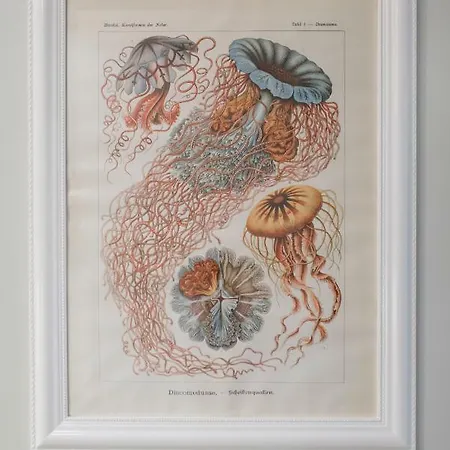 Plac Zbawiciela - 2 Rooms, 4 Beds - Sleeps 6 Comfortably