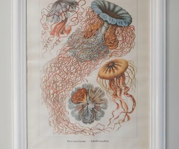 Plac Zbawiciela - 2 Rooms, 4 Beds - Sleeps 6 Comfortably